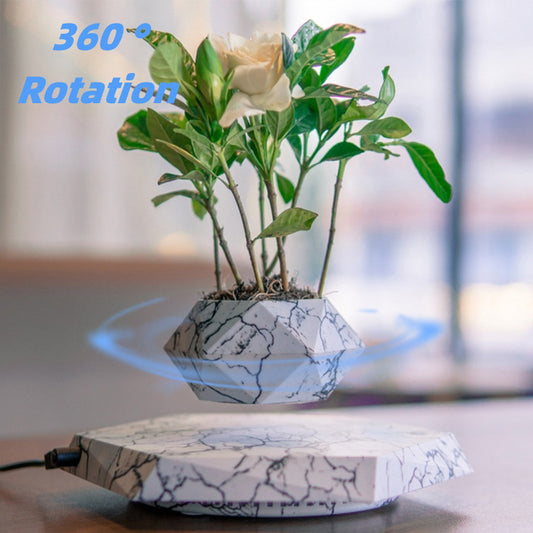 Floating Bonsai Pot – Modern Elegance Meets Magnetic Levitation