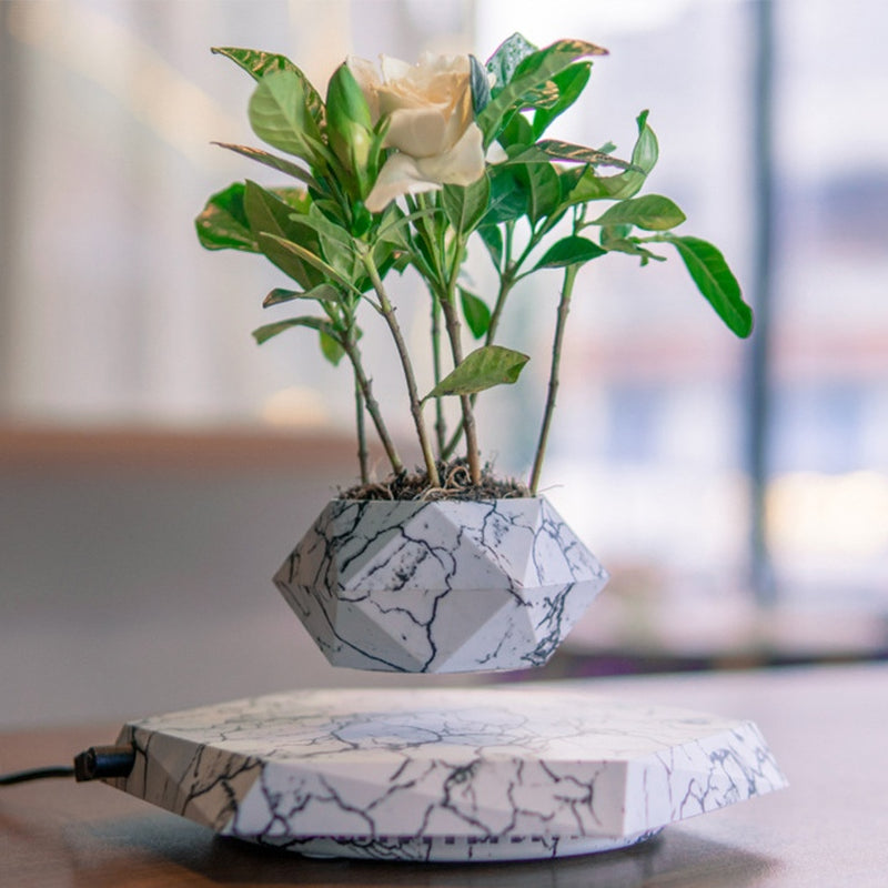 Floating Bonsai Pot – Modern Elegance Meets Magnetic Levitation