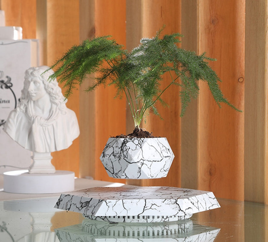 Floating Bonsai Pot – Modern Elegance Meets Magnetic Levitation